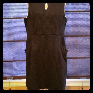 Lands End Navy Piped sheath dress